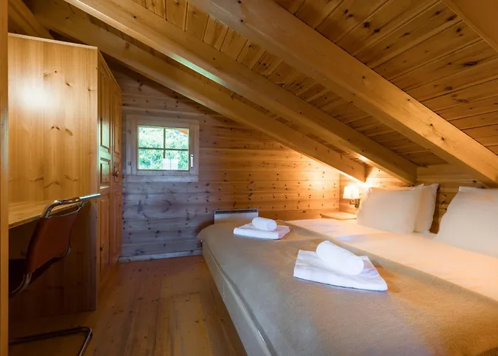 Aeolus Mountain & Quiet 12 Pers By Alpvision Residences ויסונה